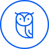 Wisdom Owl